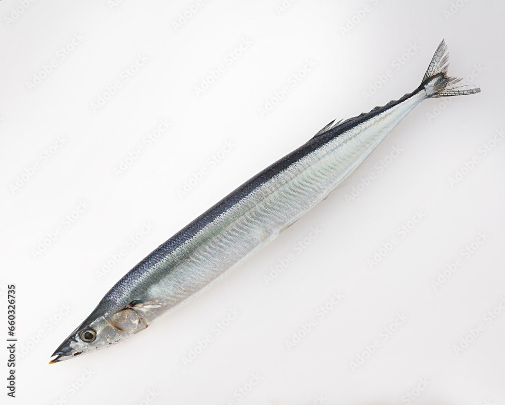 秋刀魚