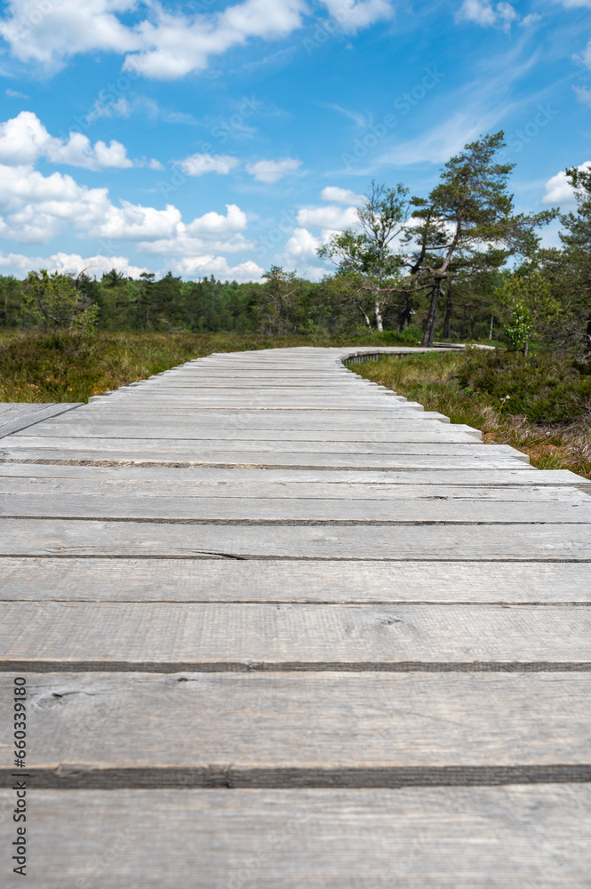 New Wooden path in a moor Landscape