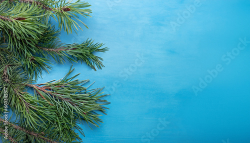 Background of winter pine branches on a blue surface  captured from above with space for text