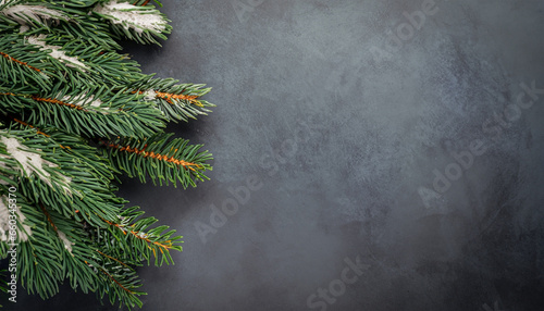 Background of winter pine branches on a blue surface, captured from above with space for text
