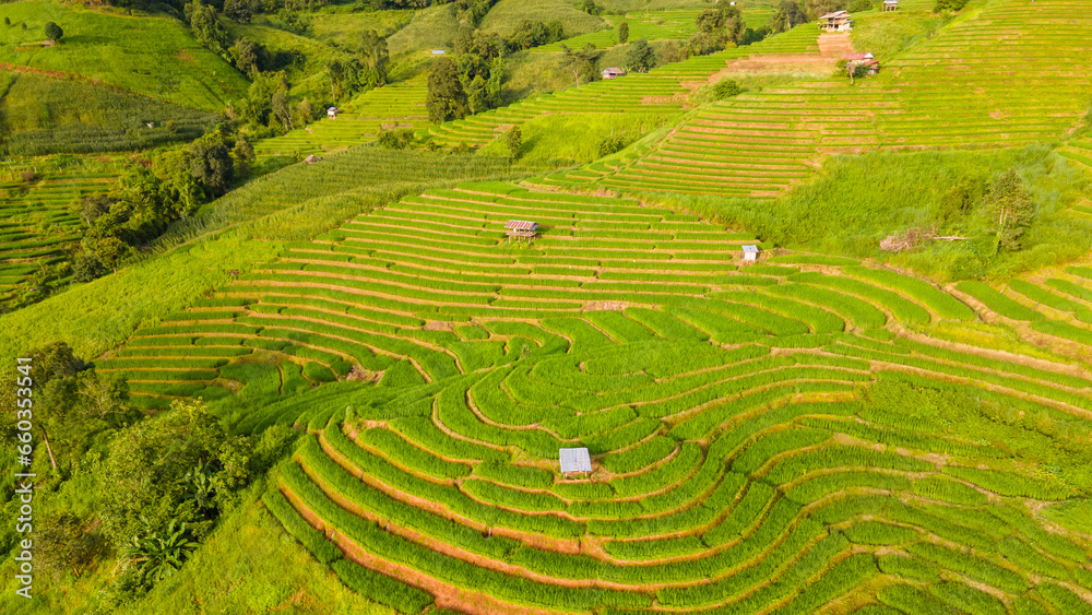 Curved green Terraced Rice Field in Chiangmai, Thailand, Pa Pong Piang rice terraces, green rice paddy fields during rain season Curved green Terraced Rice Field in Chiangmai, Thailand, Pa Pong Piang rice terraces, green rice paddy fields during rain season