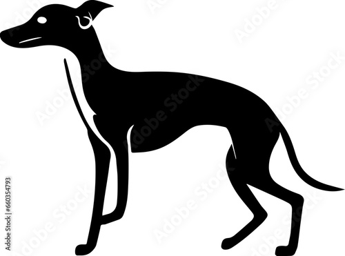 Italian Greyhound icon 2