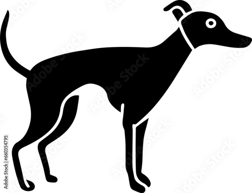 Italian Greyhound icon 3