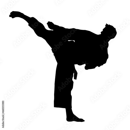 Silhouette of a male model doing martial art kick pose. Silhouette of a martial art kicking pose.
