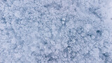 Winter nature forest landscape. Aerial top down view of mixed snow covered trees. Winter background.
