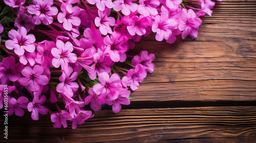 Flowers phlox on wooden background