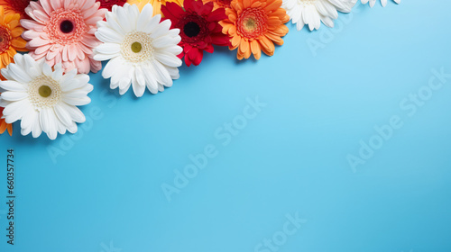 Frame made of beautiful gerbera flowers on blue background