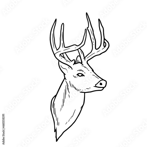 Lineart or contour drawing of a deer head with antlers.
