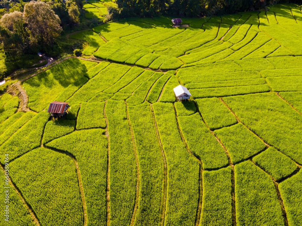 Terraced Rice paddy Field in Chiangmai mountains during the green rain season, Thailand. Royal Project Khun Pae Northern Thailand Terraced Rice paddy Field in Chiangmai mountains during the green rain season, Thailand. Royal Project Khun Pae Northern Thailand