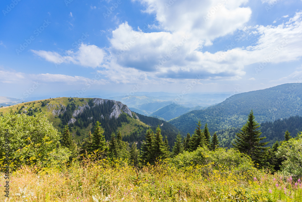 Peaceful mountain summer landscape, lush forest and blue sky with clouds. Peaceful mountain summer landscape, lush forest and blue sky with clouds.