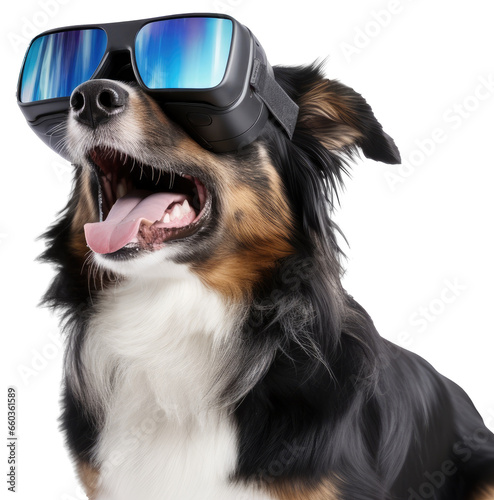 portrait of an australian shepherd dog wearing VR glasses isolated on a white background as transparent PNG © Flowal93