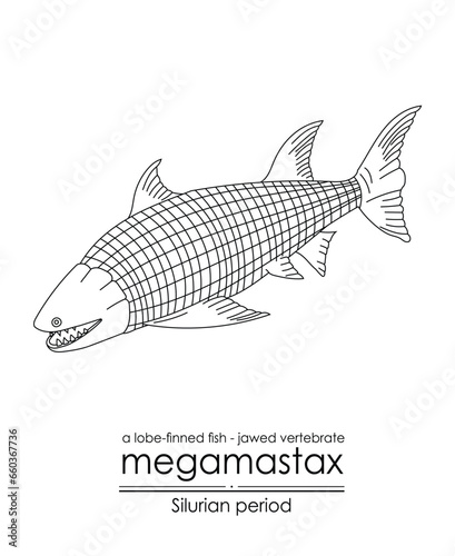 Megamastax, a Silurian period largest jawed vertebrate, a lobe-finned fish, black and white line art illustration. Ideal for both coloring and educational purposes photo