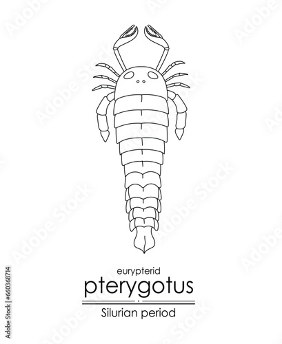 Pterygotus, a Silurian period eurypterid, a giant sea scorpion, black and white line art illustration. Ideal for both coloring and educational purposes