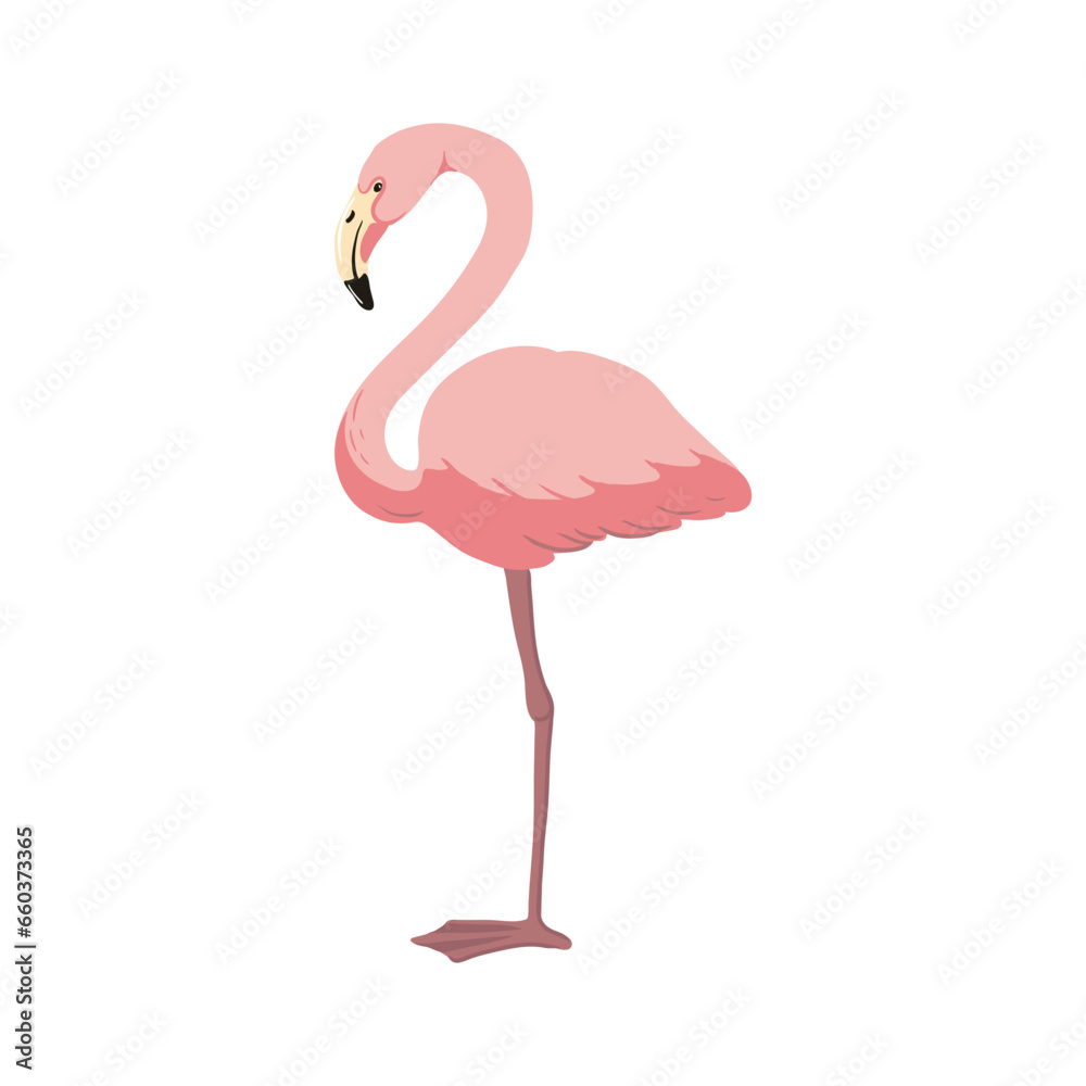 Obraz premium vector drawing sketch of bird, hand drawn flamingo, isolated nature design element