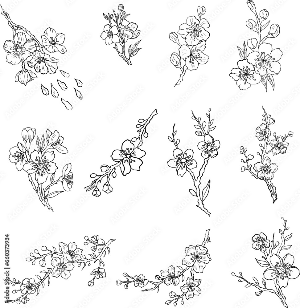 Free hand Sakura flower vector set, Beautiful line art Peach blossom isolate on white background.Branch of cherry blossom for printing on wallpapers and sticker.Japanese flower.Golden line art.