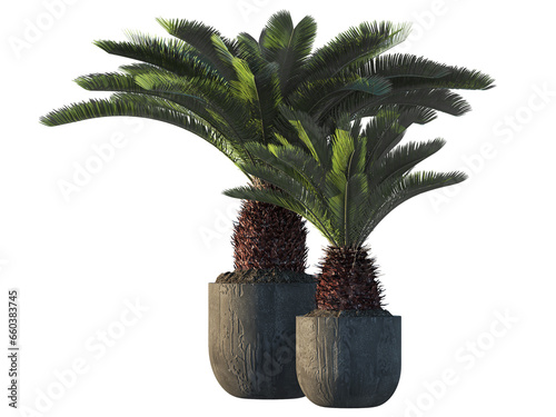 Collection of isolated vegetation