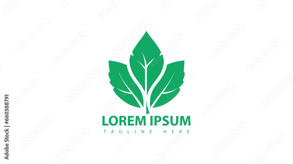 Green leaf logo nature element vector icon. Green leaf logo nature element vector icon.