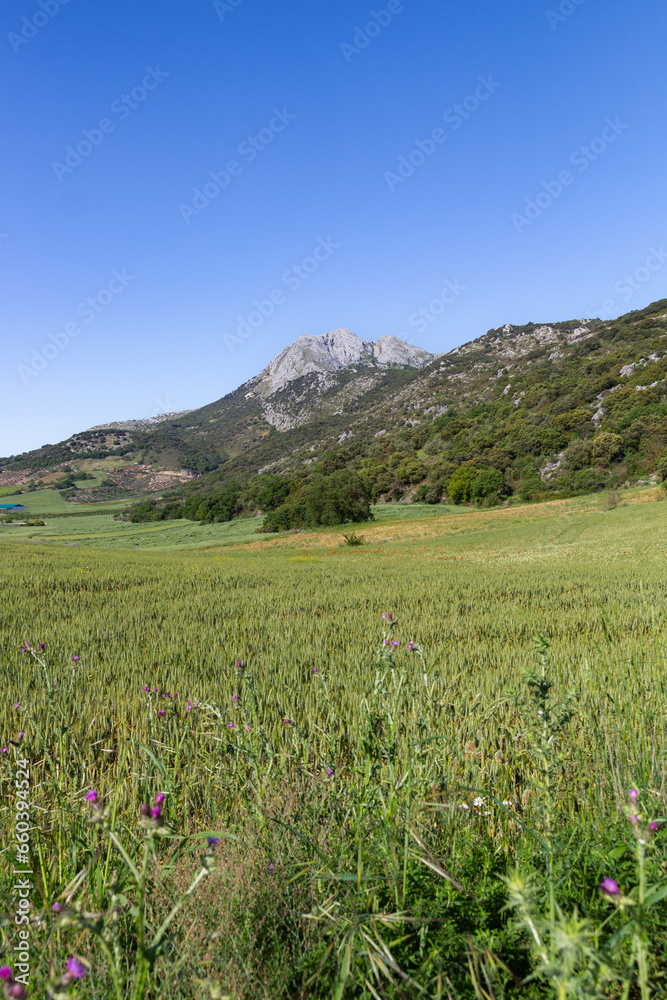 Fototapeta premium Arco Calizo Central, Alfarnate (Málaga) - Trekking Day