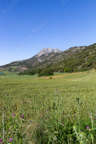 Arco Calizo Central  Alfarnate  M  laga  - Trekking Day