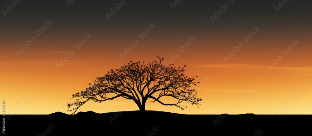 Tree silhouette With copyspace for text