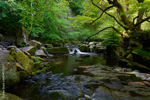 The River Esk flows quickly through a wooded valley in Goathland, Yorkshire. photo