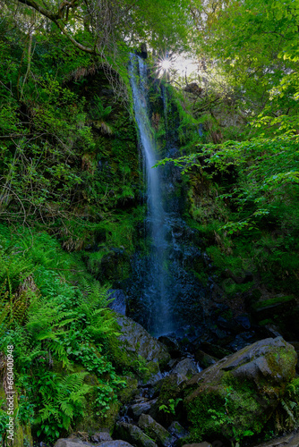 The Mallyan Spout waterfall swiftly falls 70 feet down a cliff face and in to the River Esk. © Steven Bramall