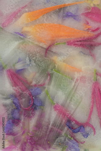abstract art with frozen flowers in ice, water and milk