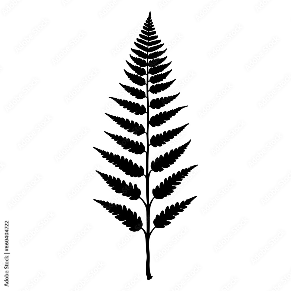 Fototapeta premium Fern leaf silhouette. Vector illustration