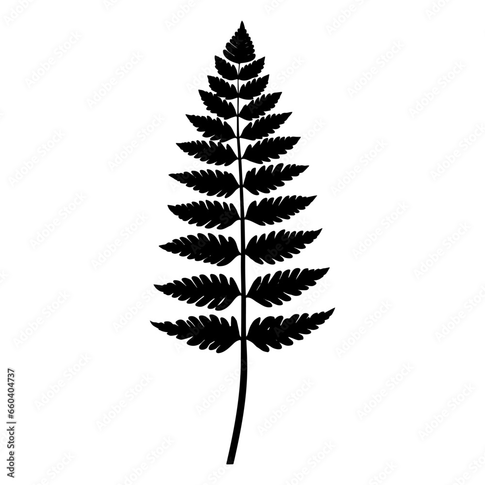 Fern leaf silhouette. Vector illustration Fern leaf silhouette. Vector illustration