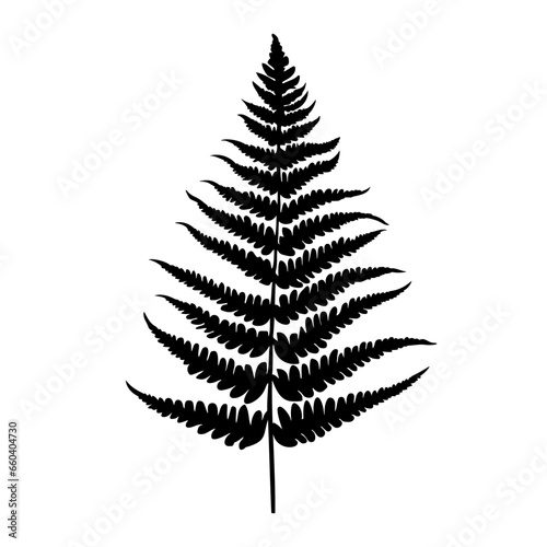 Fern leaf silhouette. Vector illustration