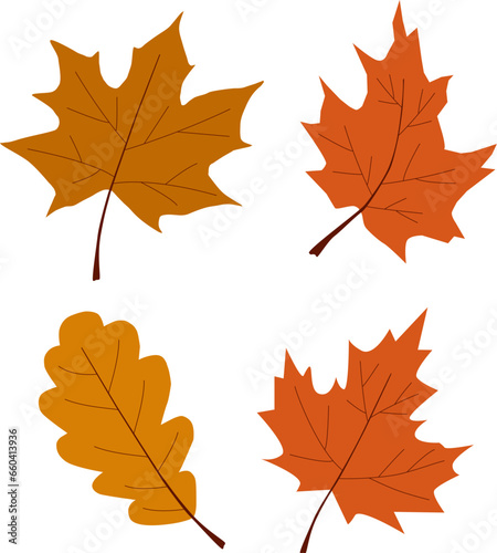 Autumn leaves. Different forms and colors. Leaves falling. Vector illustration