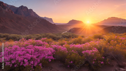Beautiful rich nature of Big Bend National Park at sunrise. flowers  High resolution  photogenic. cinematic wide angle shot