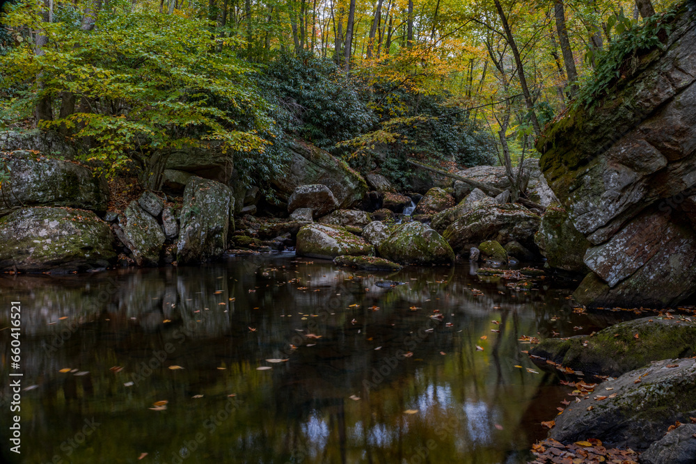 Cascading creek in the autumn forest Cascading creek in the autumn forest