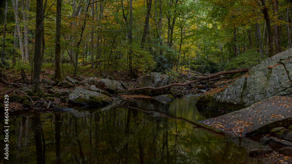 Cascading creek in the autumn forest Cascading creek in the autumn forest