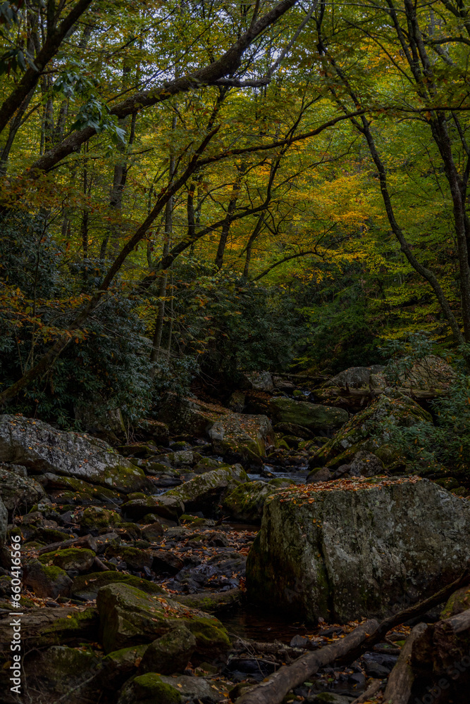 Cascading creek in the autumn forest Cascading creek in the autumn forest