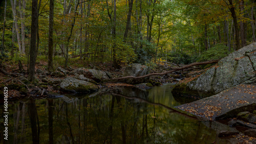 Cascading creek in the autumn forest