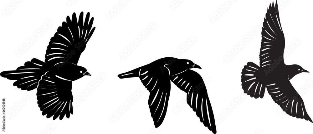 Obraz premium flying birds, black silhouette, vector