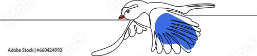 bird flying line drawing, sketch, vector
