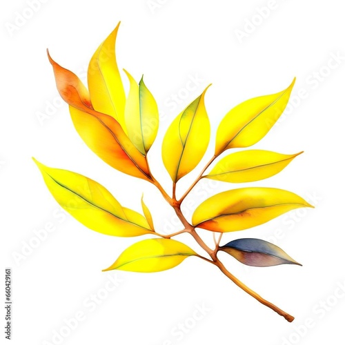 autumn  yellow watercolor leaves isolated on white