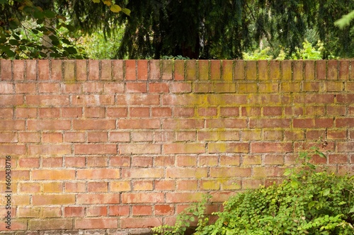 an old wall and weeds with a bench by it in front of some trees