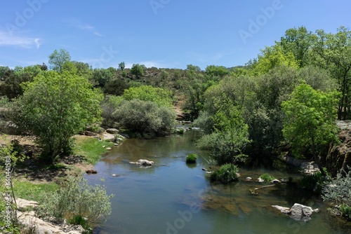 Scenic view of the Lozoya river surrounded by lush greenery on a sunny day in Madrid, Spain