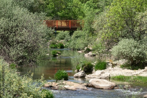 Scenic view of the Lozoya river surrounded by lush greenery on a sunny day in Madrid, Spain © Wirestock