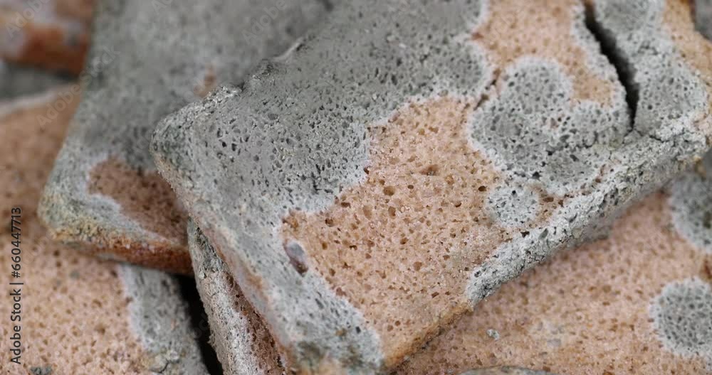 dangerous pieces of bread covered with mold on the table, a loaf of bread made of wheat and rye flour spoiled by bacteria and mold dangerous pieces of bread covered with mold on the table, a loaf of bread made of wheat and rye flour spoiled by bacteria and mold