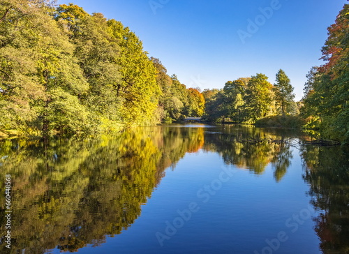 Parks of St. Petersburg. The first days of autumn. Reflection of trees in water.