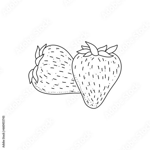 fresh strawberries berries doodle style. illustration black on white background