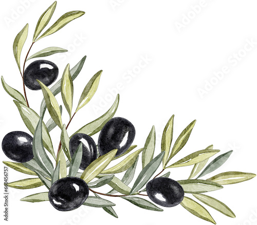 Watercolor olive frame border. Hand drawn illustration of olive tree branch with black olives and leaves