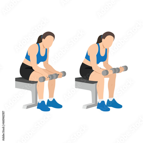 Woman doing seated dumbbell palm up wrist curls or forearm curls exercise. Flat vector illustration isolated on white background