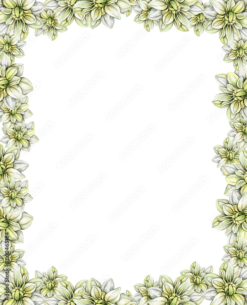 Flowers square frame with dahlia, watercolor illustration for cards, backgrounds, scrapbooking. Hand drawn background with flower for your design. Perfect for wedding invitation.