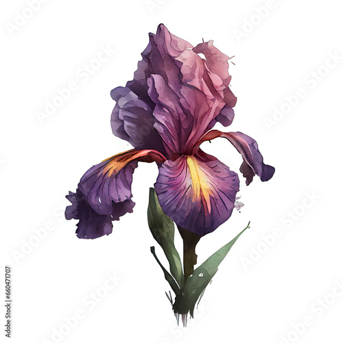 Iris's Watercolor Reverie: Artistic Blossoms