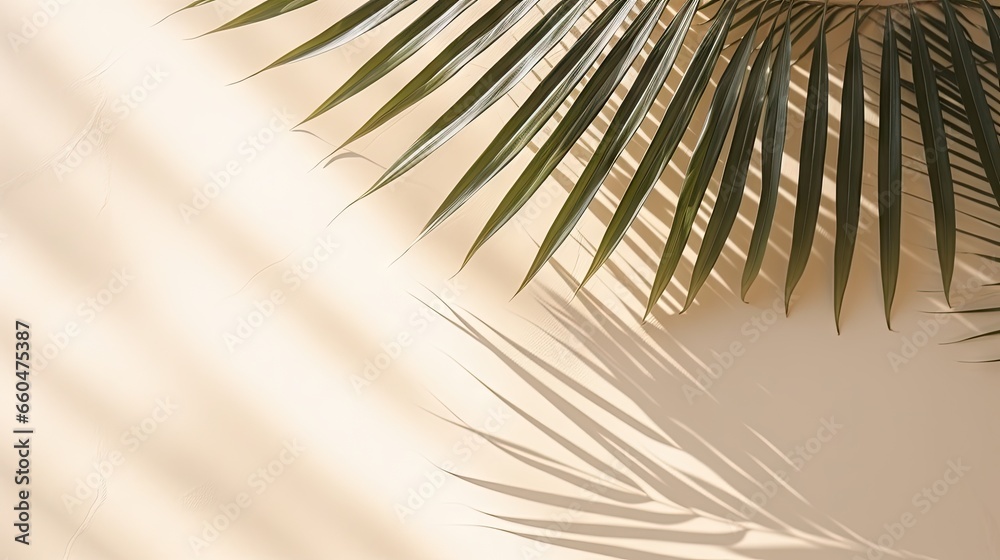 Palm leaf shadows on a white wall and cream pastel floor Abstract background with palm leaf shadows for a creative summer minimal mock up Neutral tropical palm mockup on a light geometric backd Palm leaf shadows on a white wall and cream pastel floor Abstract background with palm leaf shadows for a creative summer minimal mock up Neutral tropical palm mockup on a light geometric backd